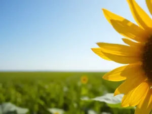 Kim jest Małgorzata Strasburger – życie osobiste i zawodowe?