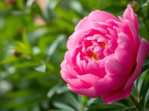 Marek Salla – życiorys, wiek, rodzina i osiągnięcia